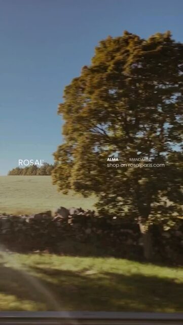 Discover Alma leather bucket bag in tangerine on rosalparis.com
Sac seau en cuir Alma couleur mandarine disponible sur rosalparis.com
#leathercraft #leather #sacencuir #fyp #bucket